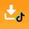 TikTok Download