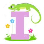 Interesting 💡😍